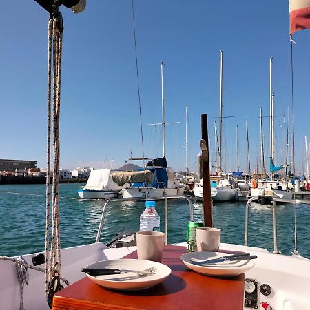 Canarian Pirat أرّاثيفي المظهر الخارجي الصورة